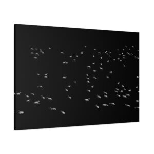 Celestial Sheep at Night – Starlit Flock Canvas Print | Mystical Wall Art by Eugen Horoiu