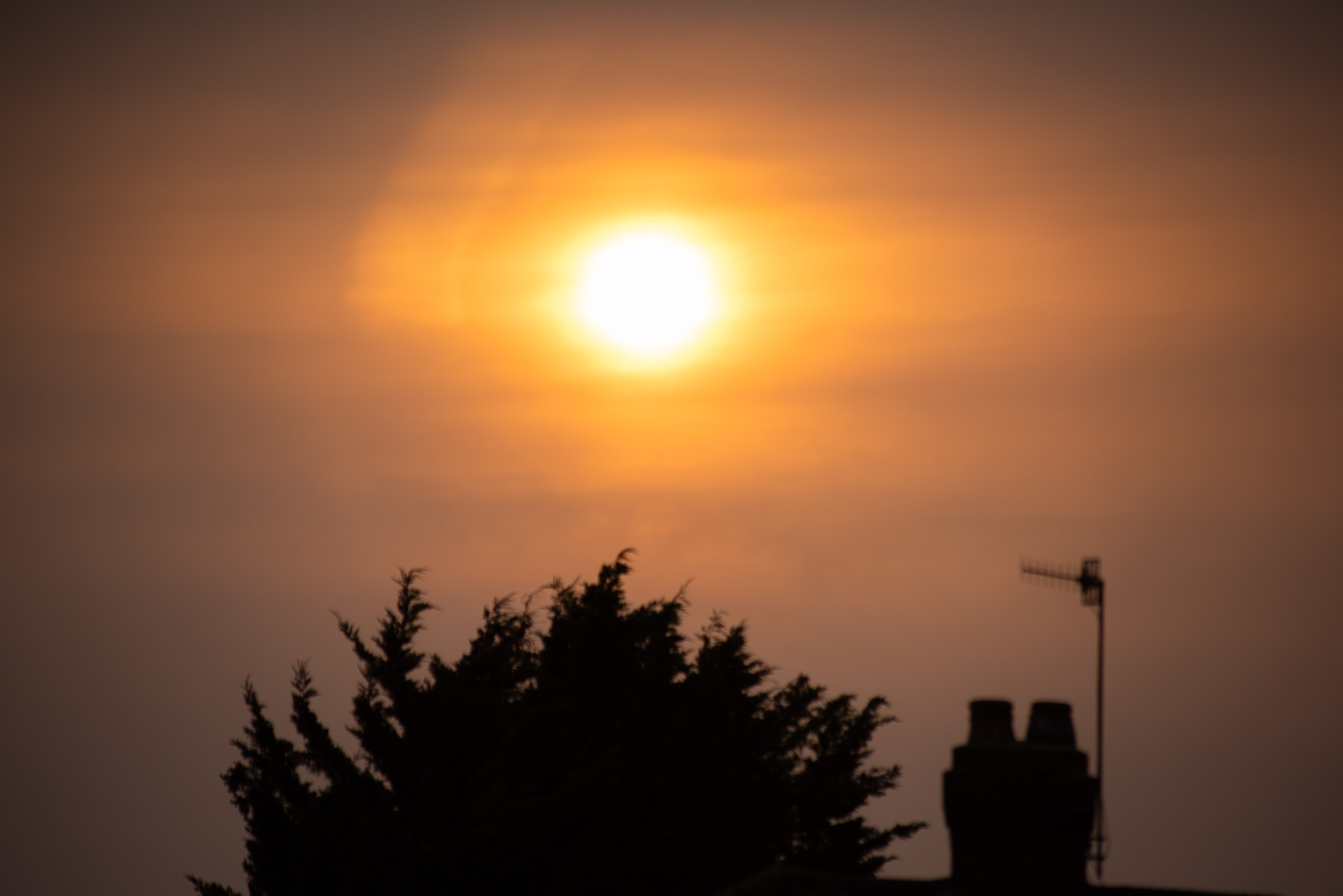 Fence and garden silhouettes against warm sunset light in Luton after heatwave